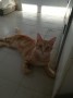 Sammy (1)5